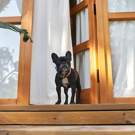 Кемпінг Taiga Conil *