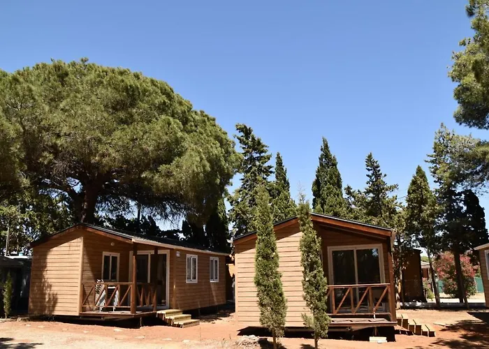 Taiga Conil * Коніль-де-ла-Фронтера