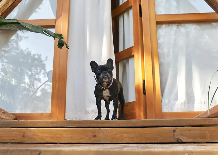 Кемпінг Taiga Conil *