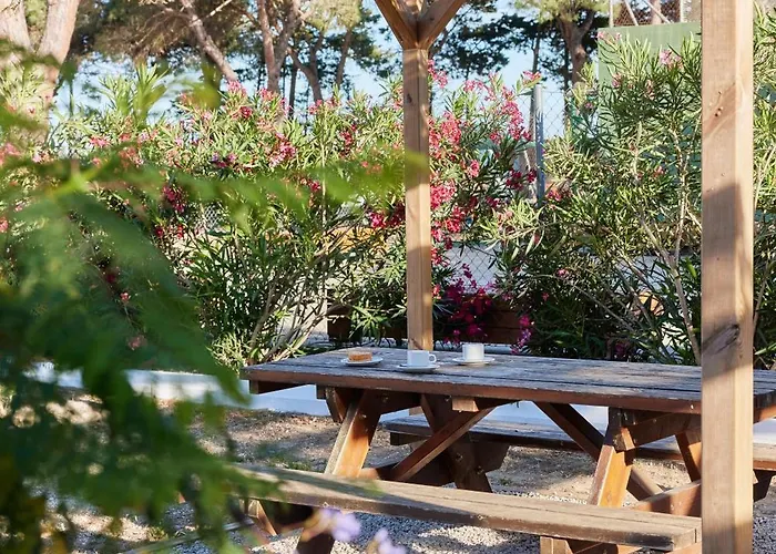 Taiga Conil Коніль-де-ла-Фронтера