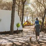 Taiga Conil 营地 *