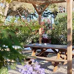 Taiga Conil 科尼尔-德拉弗龙特拉