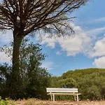 Taiga Conil 营地 科尼尔-德拉弗龙特拉