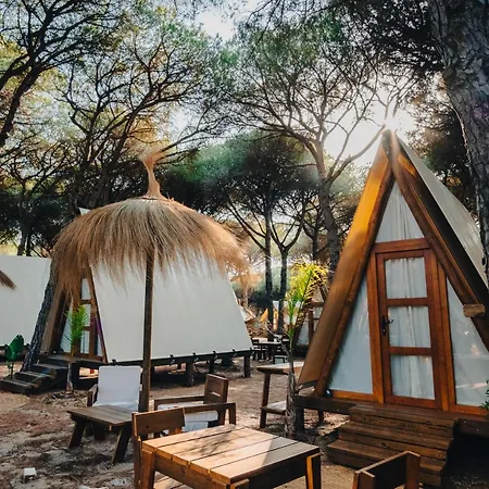 Campsite Taiga Conil