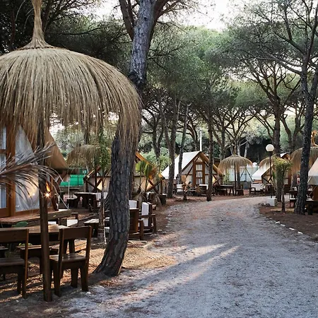 Campsite Taiga Conil Conil De La Frontera