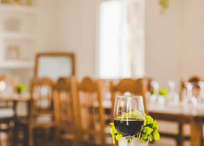 Taiga Conil Kamp alanı