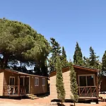 Taiga Conil * Conil De La Frontera
